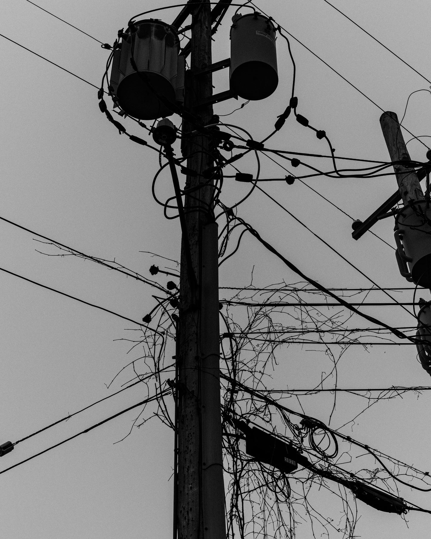 Telephone Wires